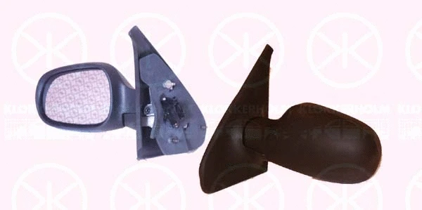 Exterior Mirror (60321041)