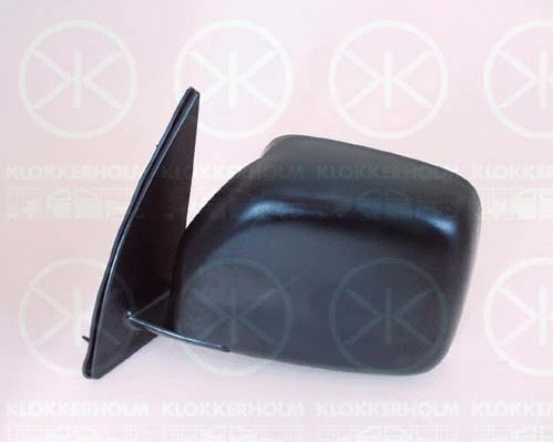 Exterior Mirror (81851021)