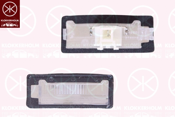 Licence Plate Light (20430850)