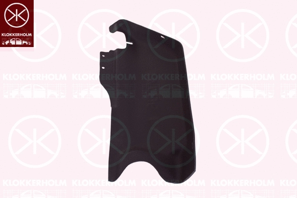 Engine Cover (3081793)