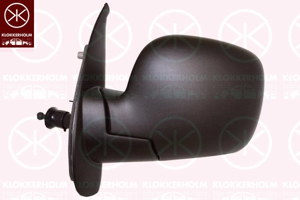 Exterior Mirror (60111021)