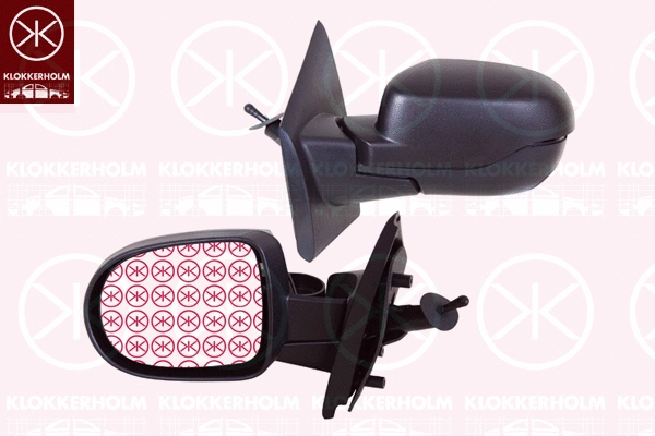 Exterior Mirror (60061023)
