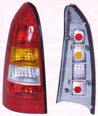 Tail Light Assembly (50510714)