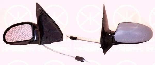 Exterior Mirror (25321024)