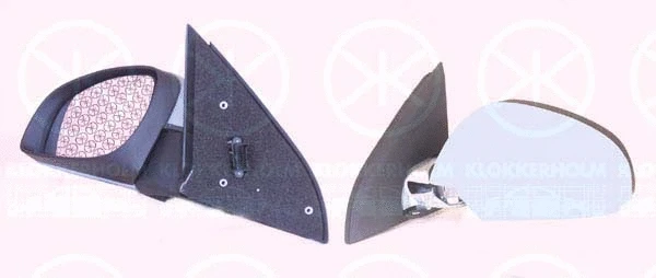 Exterior Mirror (50781042)