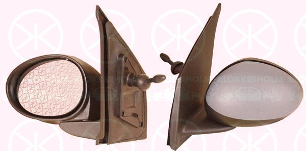 Exterior Mirror (81011021)