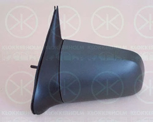 Exterior Mirror (50761021)