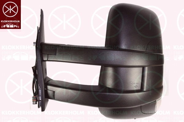 Exterior Mirror (30811023)