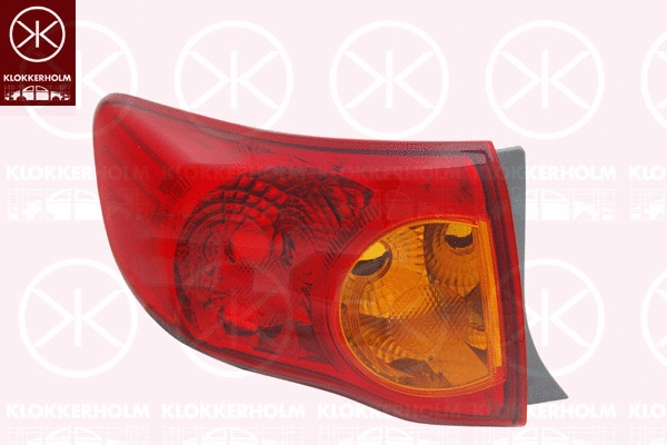 Tail Light Assembly (81180718)