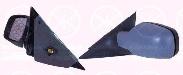 Exterior Mirror (60421041)