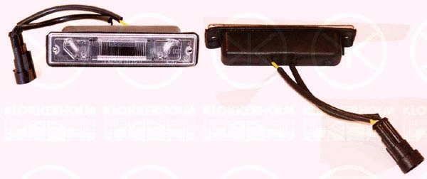 Licence Plate Light (20920850)