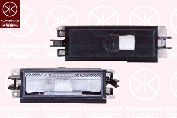 Licence Plate Light (13010850)