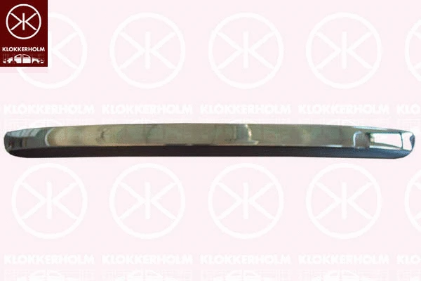 Trim/Protection Strip, bumper (2013970A1)
