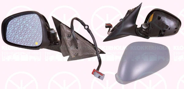 Exterior Mirror (01111044)