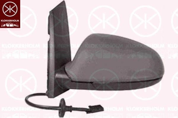 Exterior Mirror (50531041)