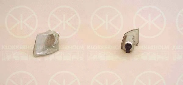 Direction Indicator (55020361)