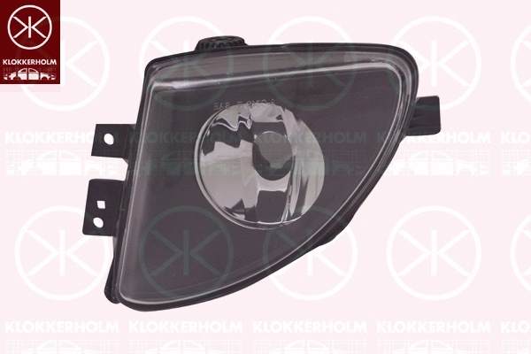 Front Fog Light (00670282)