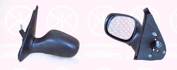 Exterior Mirror (60321021)