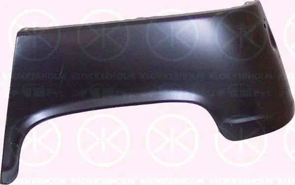 Quarter Panel (6020511)
