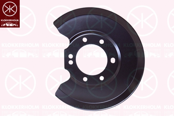 Splash Guard, brake disc (2554877)