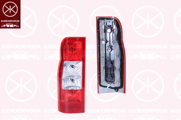 Tail Light Assembly (25100702A1)