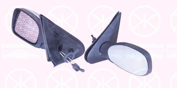 Exterior Mirror (55131025)