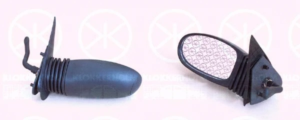 Exterior Mirror (20311021)