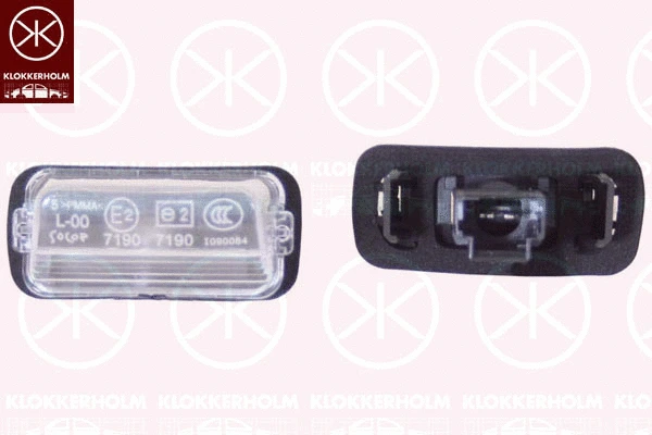 Licence Plate Light (05510850)