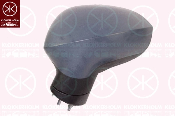 Exterior Mirror (66211042)