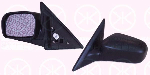 Exterior Mirror (29381045)