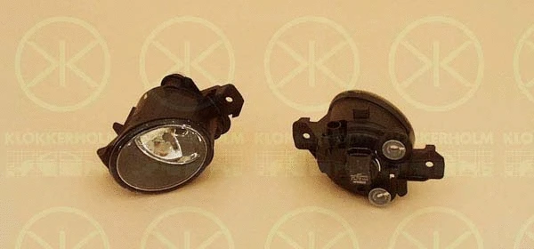 Front Fog Light (60550281A1)