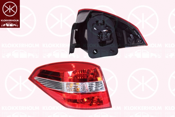Tail Light Assembly (60560706A1)