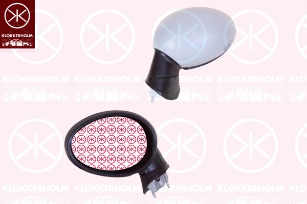 Exterior Mirror (40011046)