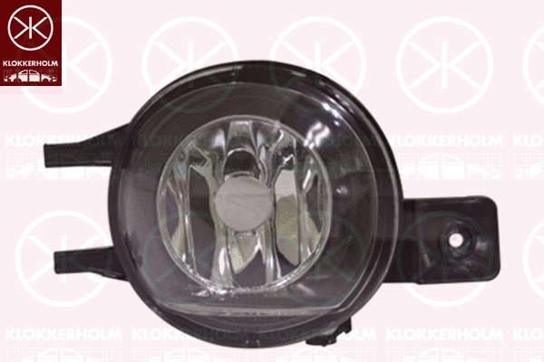 Front Fog Light (81090284)