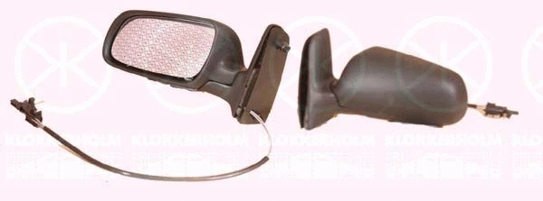 Exterior Mirror (95901021)