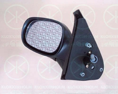 Exterior Mirror (60321022)