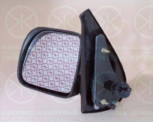 Exterior Mirror (60101022)