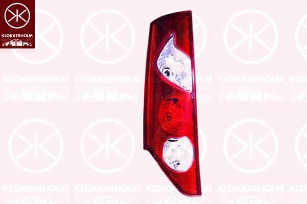 Tail Light Assembly (60110704A1)