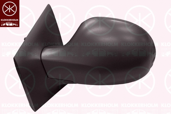 Exterior Mirror (60061021)