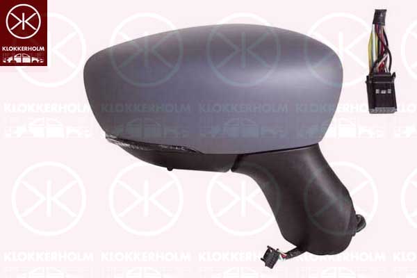 Exterior Mirror (60141032)