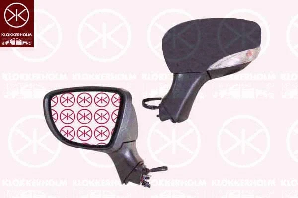 Exterior Mirror (60341041)