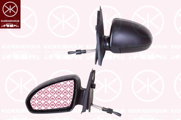 Exterior Mirror (35021023)