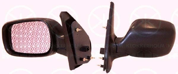 Exterior Mirror (60101041)