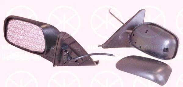 Exterior Mirror (81601032)