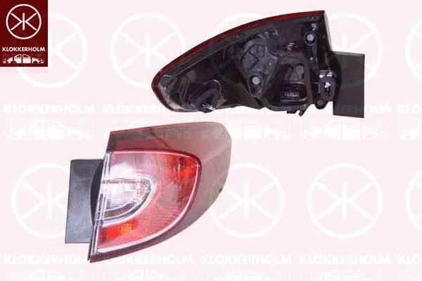 Tail Light Assembly (60430706A1)