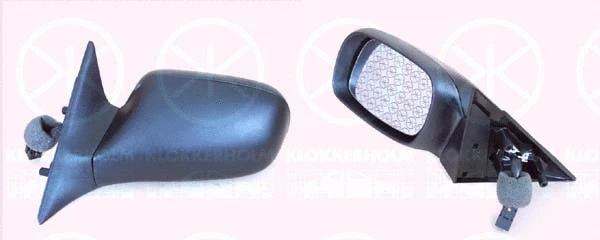 Exterior Mirror (50501043)