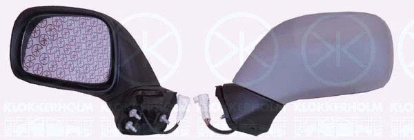 Exterior Mirror (50321041)