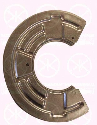 Splash Guard, brake disc (6037379)