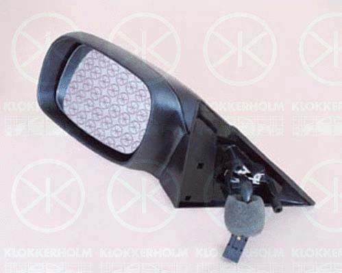 Exterior Mirror (50501044)