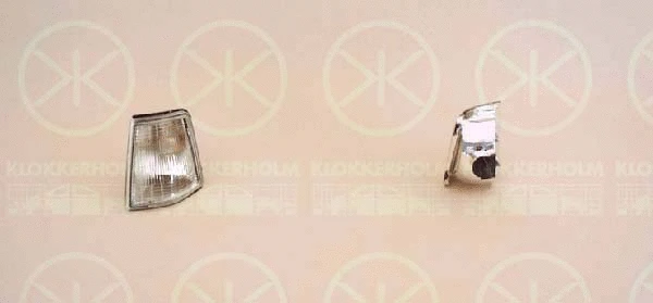 Direction Indicator (55120361)